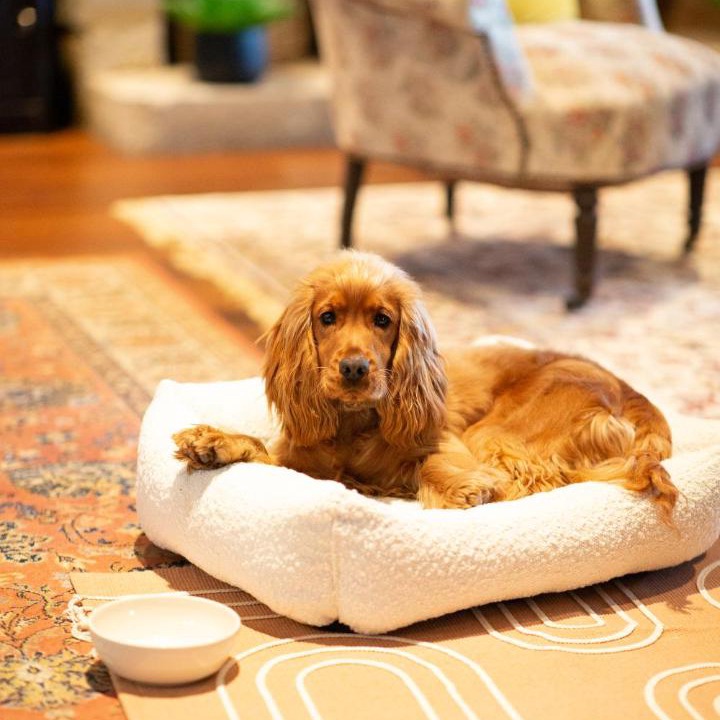 Photo of Others in Brive-la-Gaillarde