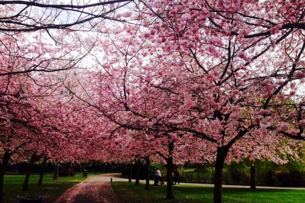 Photo of Others in Askew