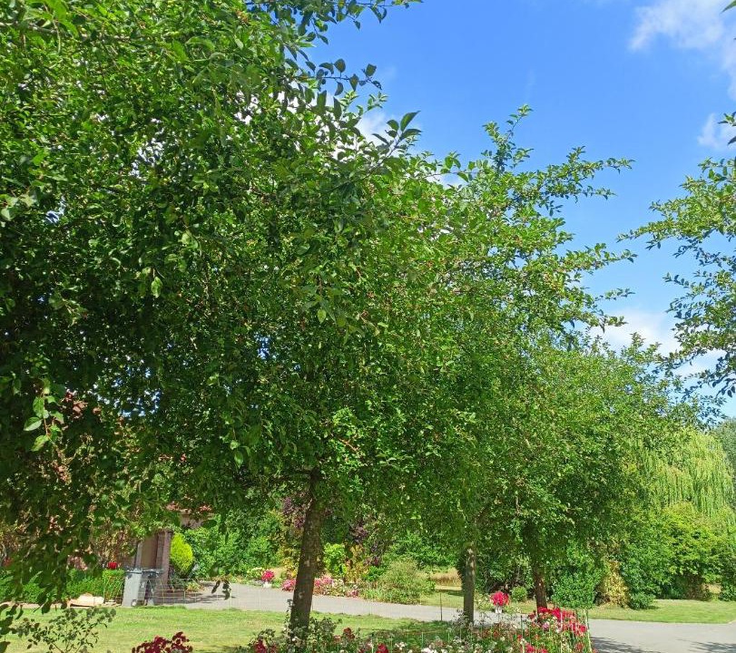 Photo of Outdoor in Verlinghem