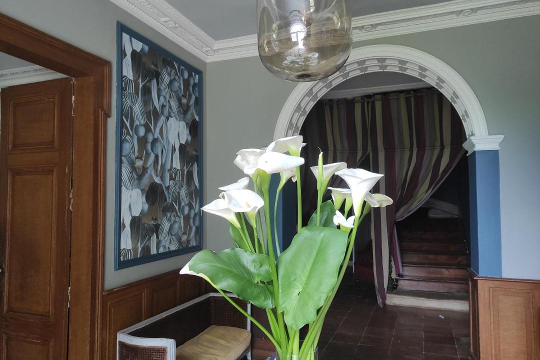 Photo of Others in Magnan