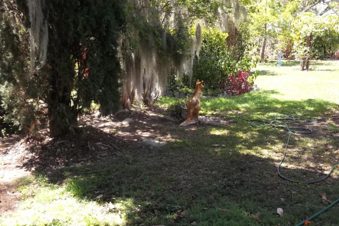 Photo of Others in Woolooga