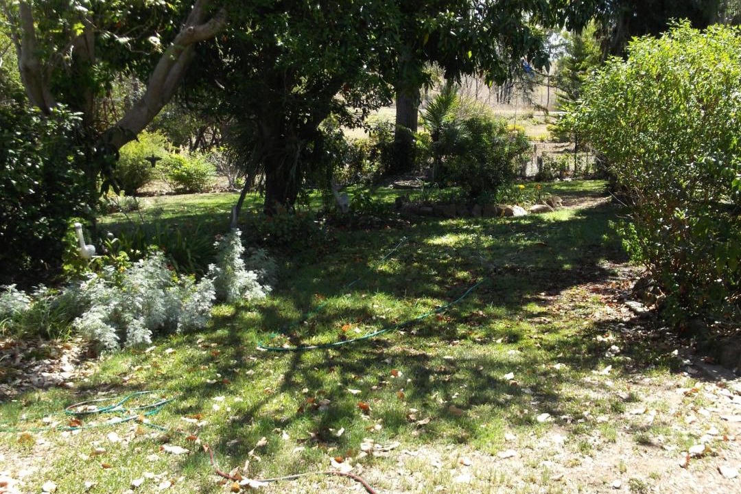 Photo of Outdoor in Woolooga