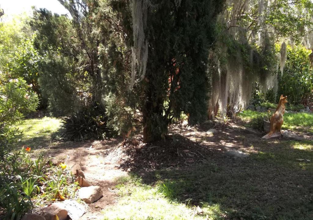 Photo of Others in Woolooga