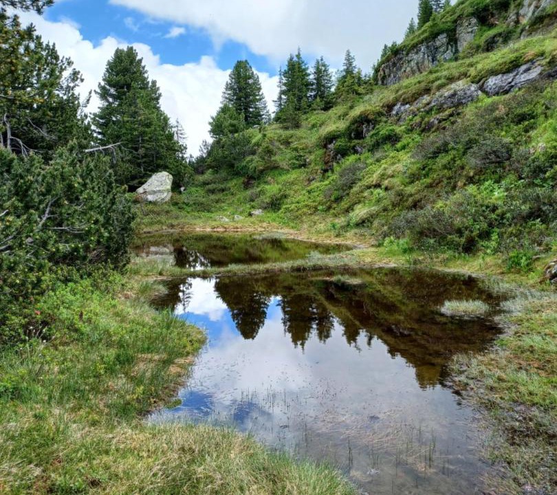 Photo of Outdoor in Horgen District