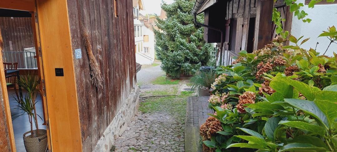 Photo of Buildings in Horgen District