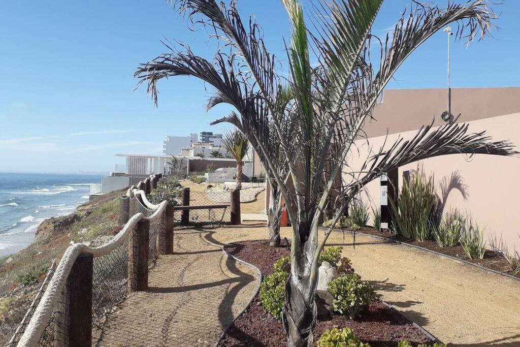 Photo of Others in Costa de Oro