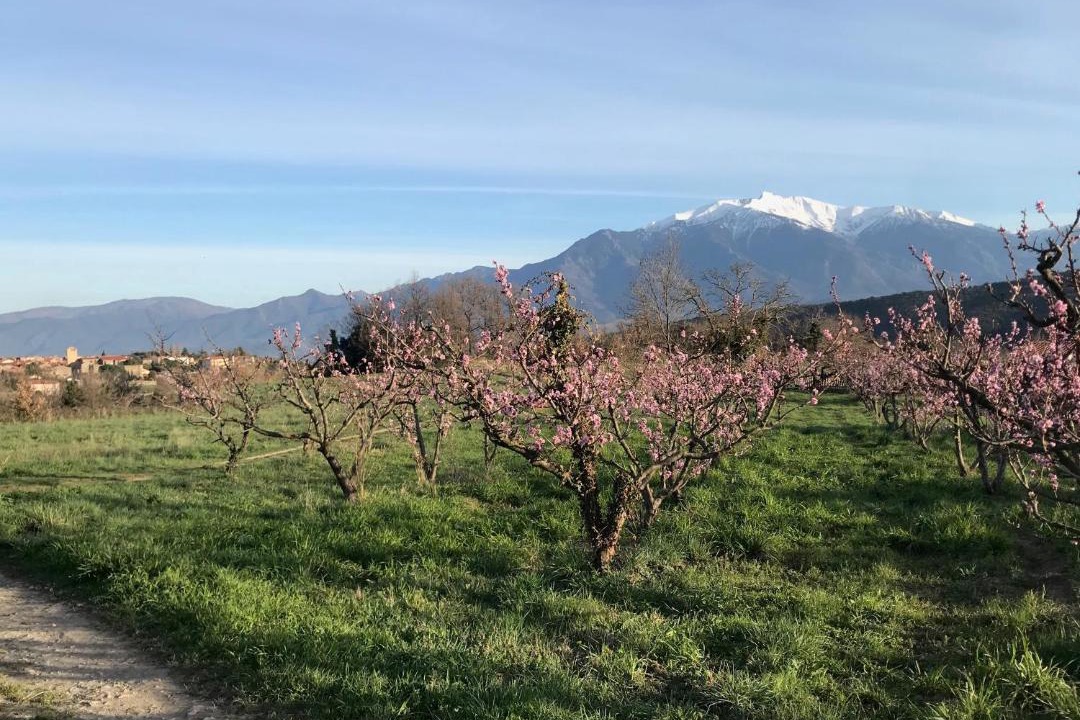 Photo of Others in Molitg-les-Bains