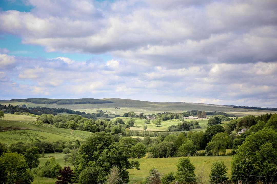 Photo of Outdoor in Tarset