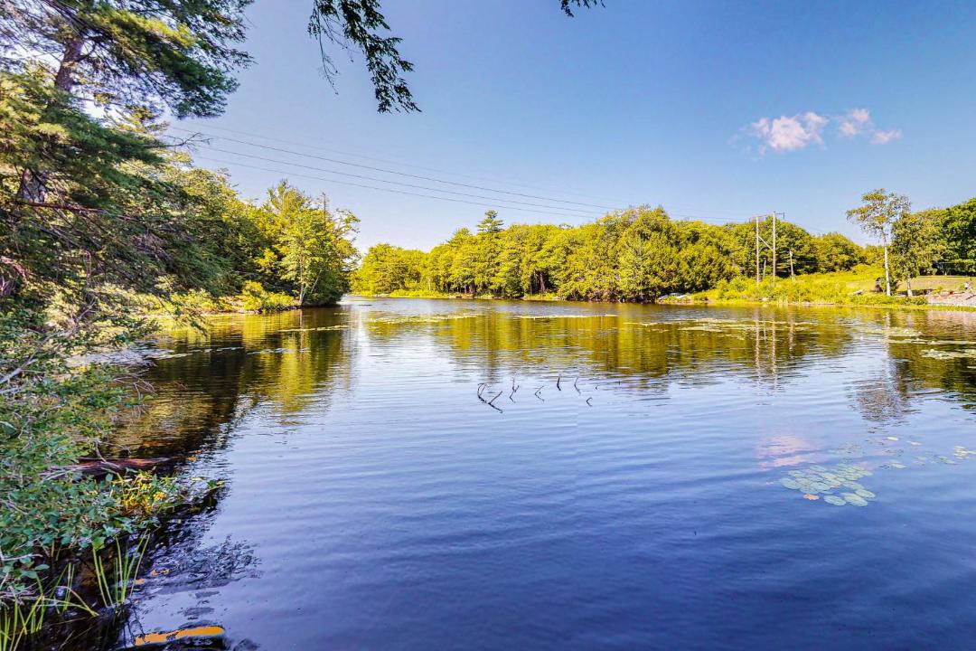 Photo of Others in Augusta