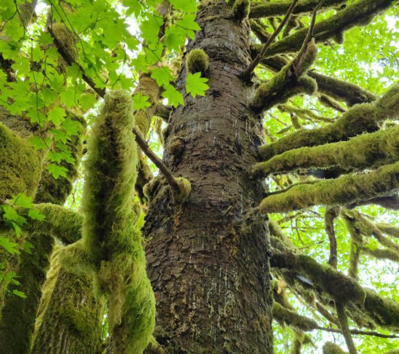 Photo of Others in Beaver