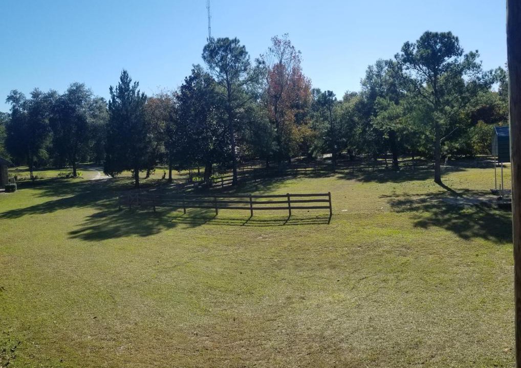 Photo of Others in Crawfordville