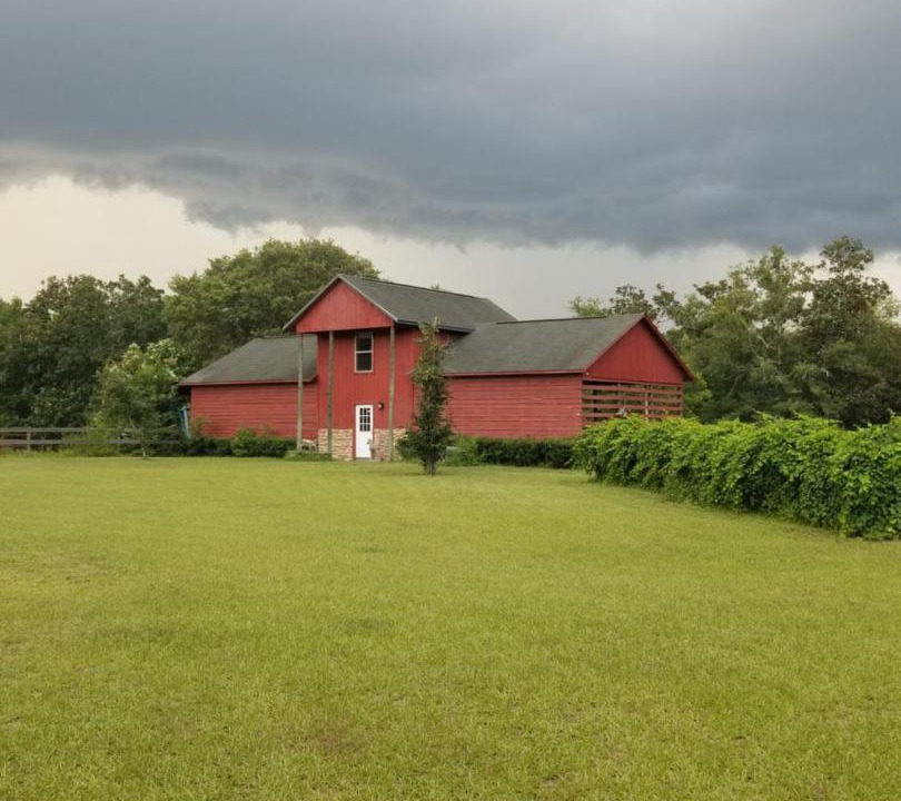 Photo of Others in Crawfordville