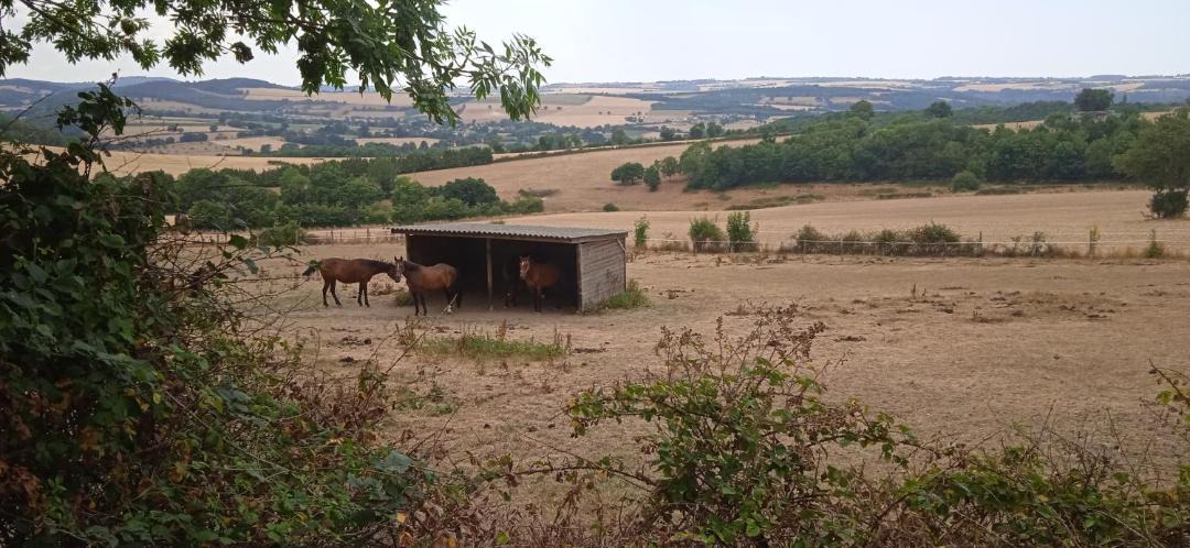 Photo of Others in Esson