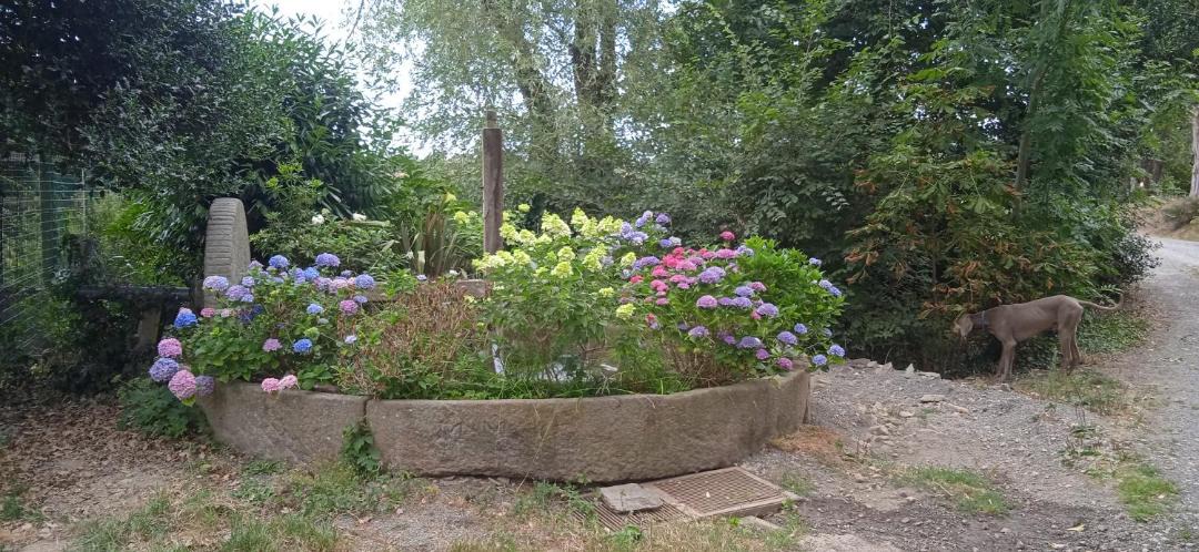 Photo of Others in Esson