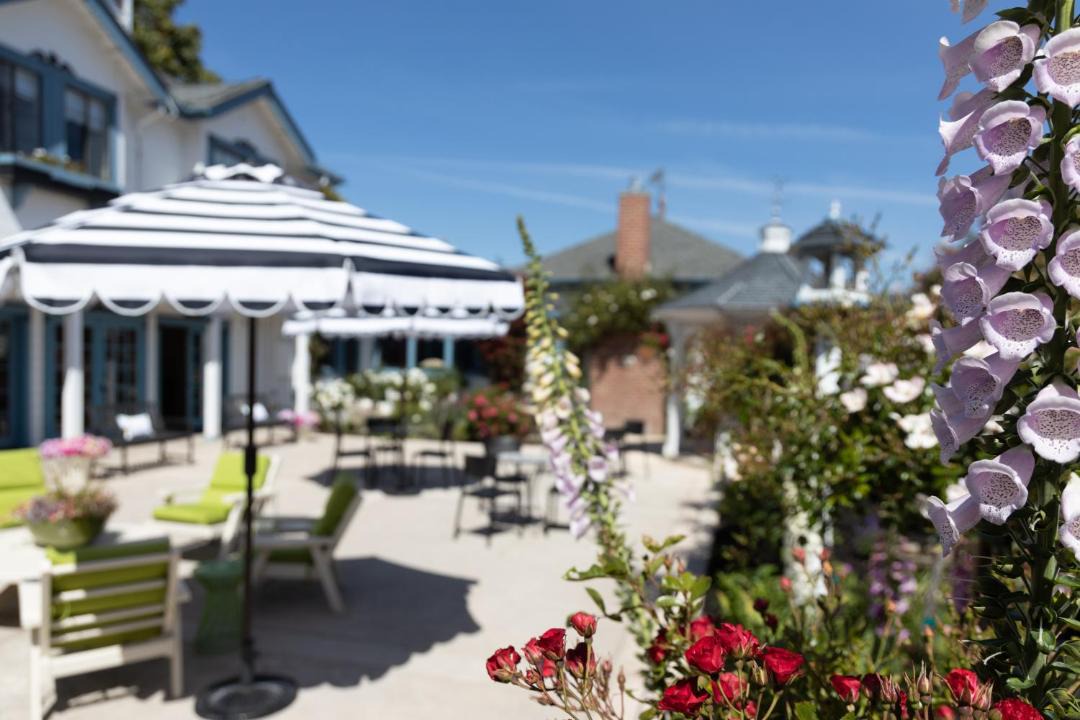 Photo of Others in Half Moon Bay