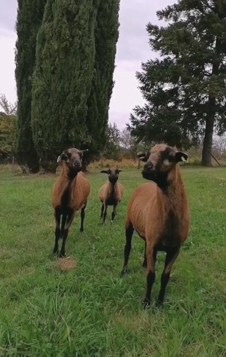 Photo of Others in Vergt