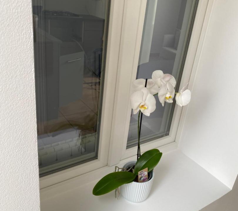 Photo of Bathroom in Drouvin-le-Marais