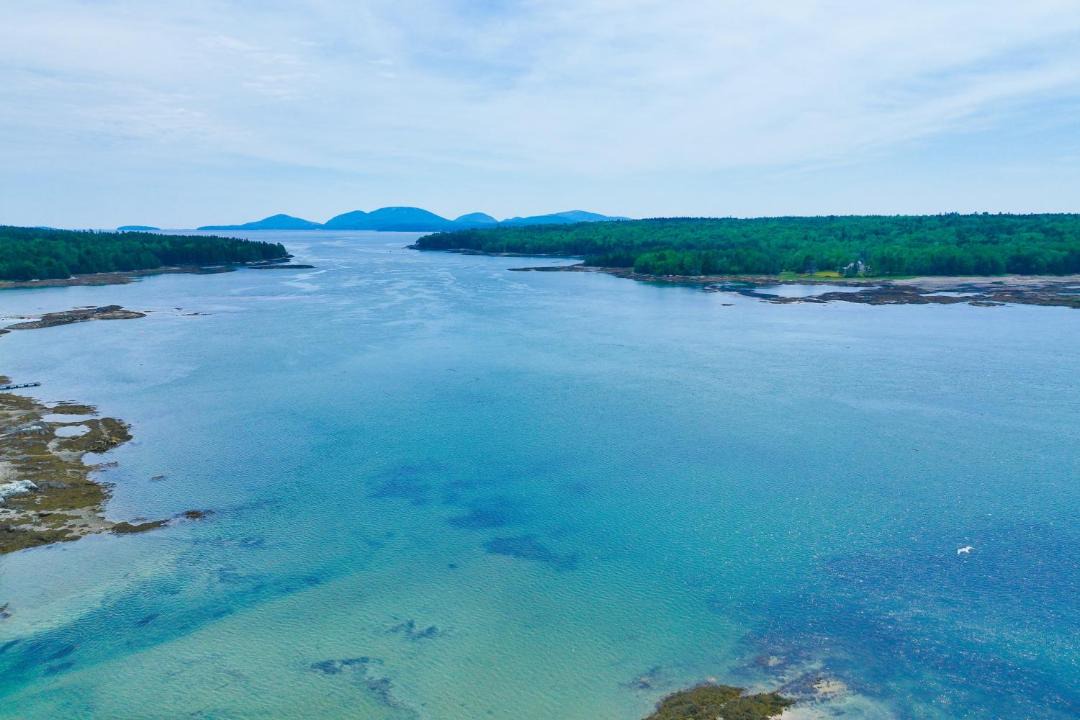 Photo of Others in Hancock