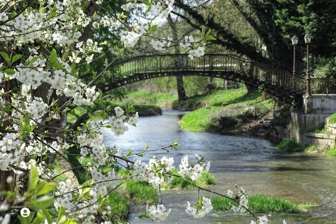 Photo of Others in Boncourt-sur-Meuse