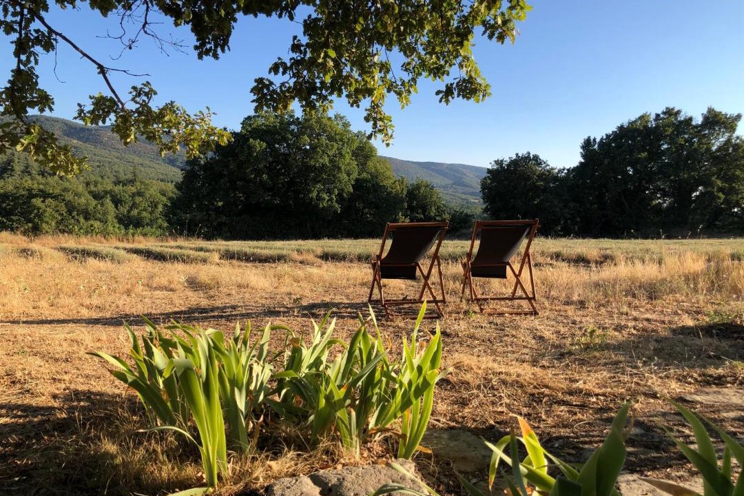 Photo of Others in Saignon