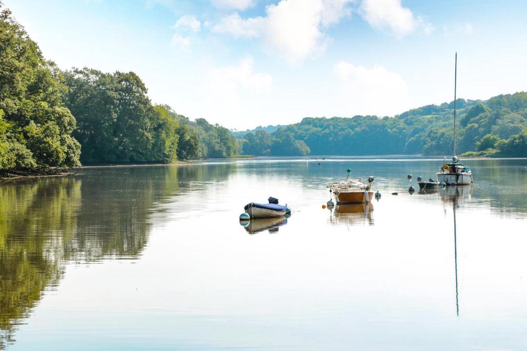 Photo of Others in Tuckenhay