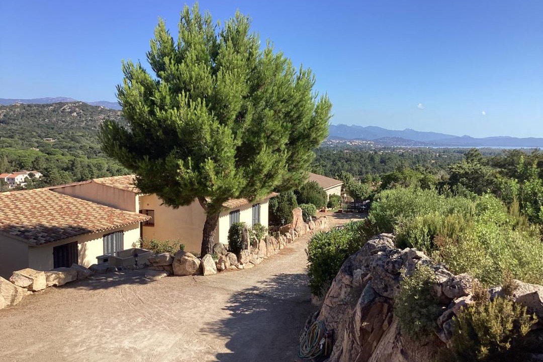 Photo of Others in Santa Giulia