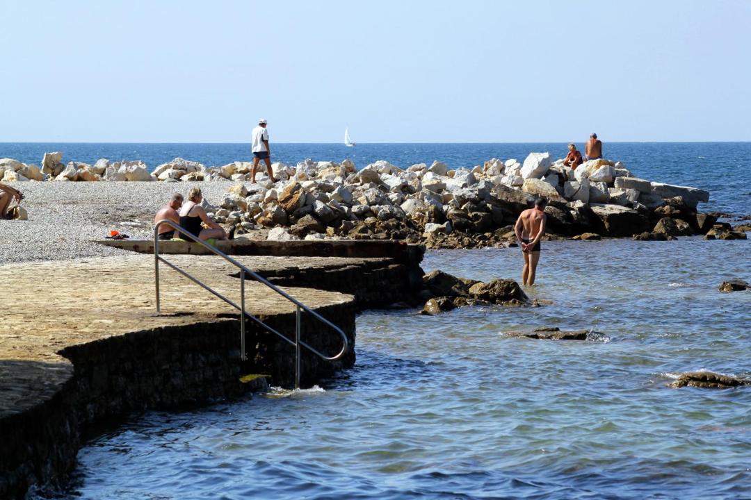 Photo of Others in Spadici