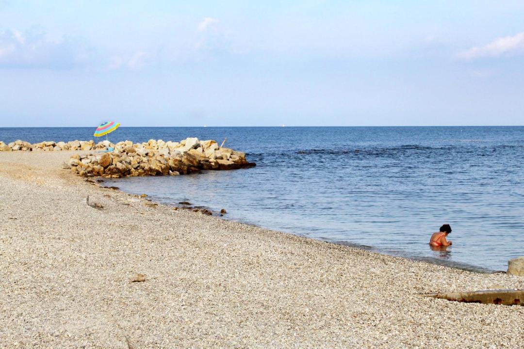 Photo of Others in Spadici
