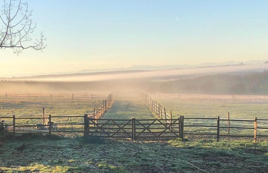 Photo of Others in Sainte-Maure-de-Peyriac