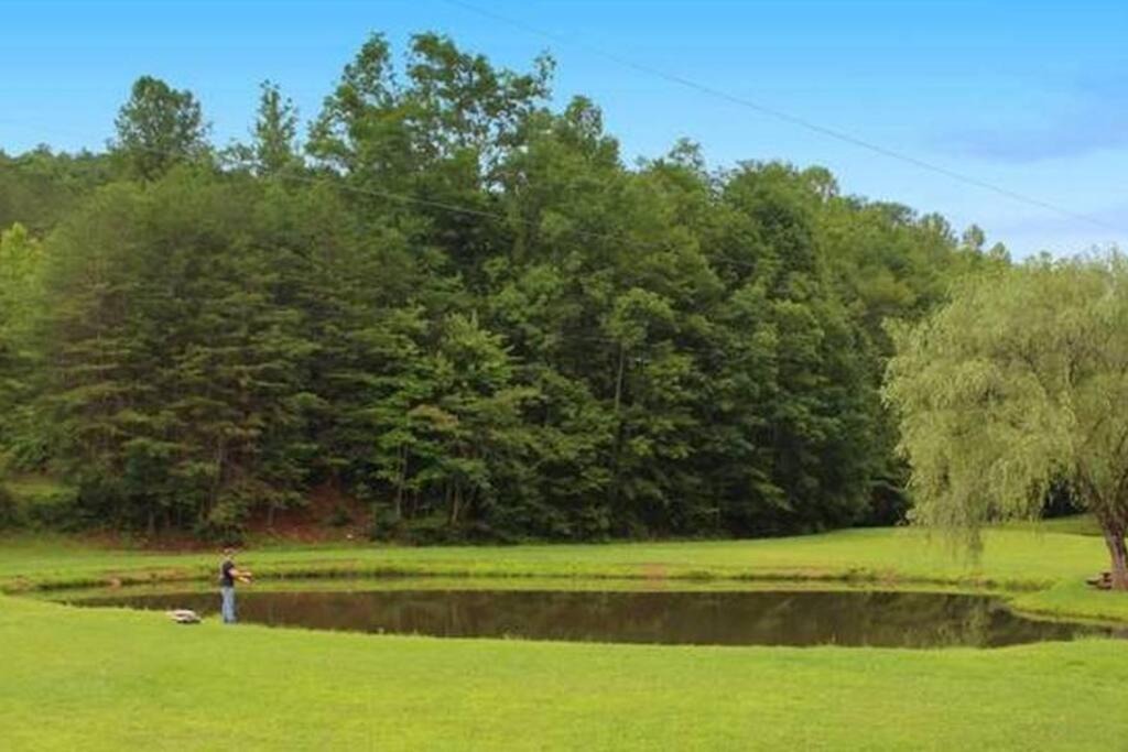 Photo of Outdoor in Sevierville