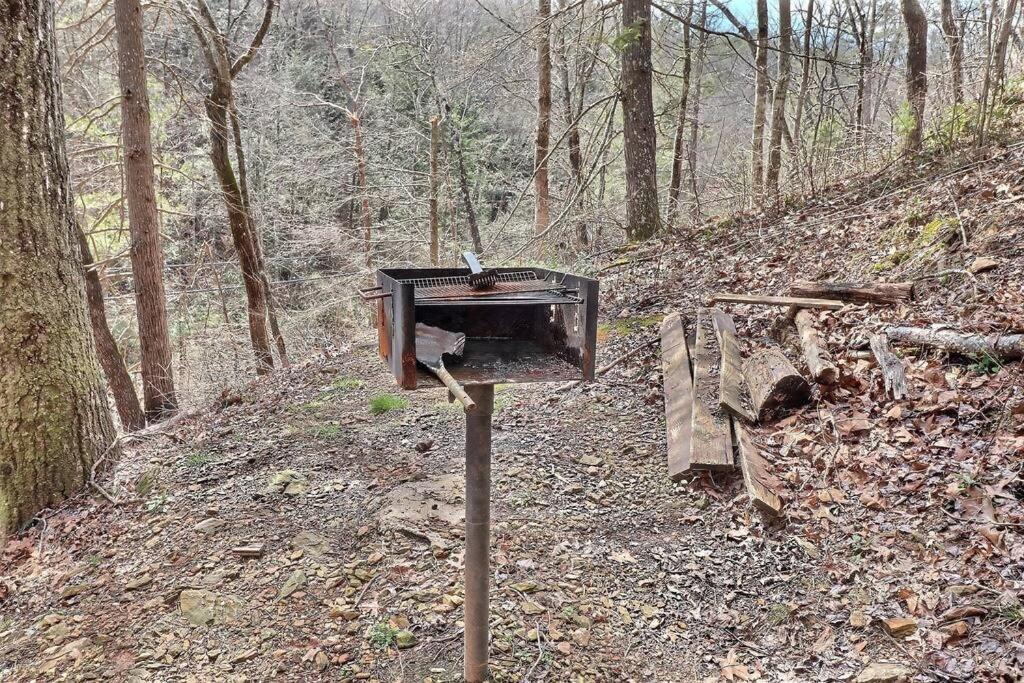 Photo of Buildings in Sevierville