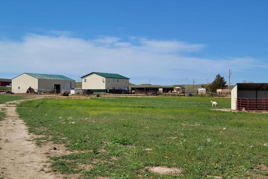 Photo of Buildings in Lingle