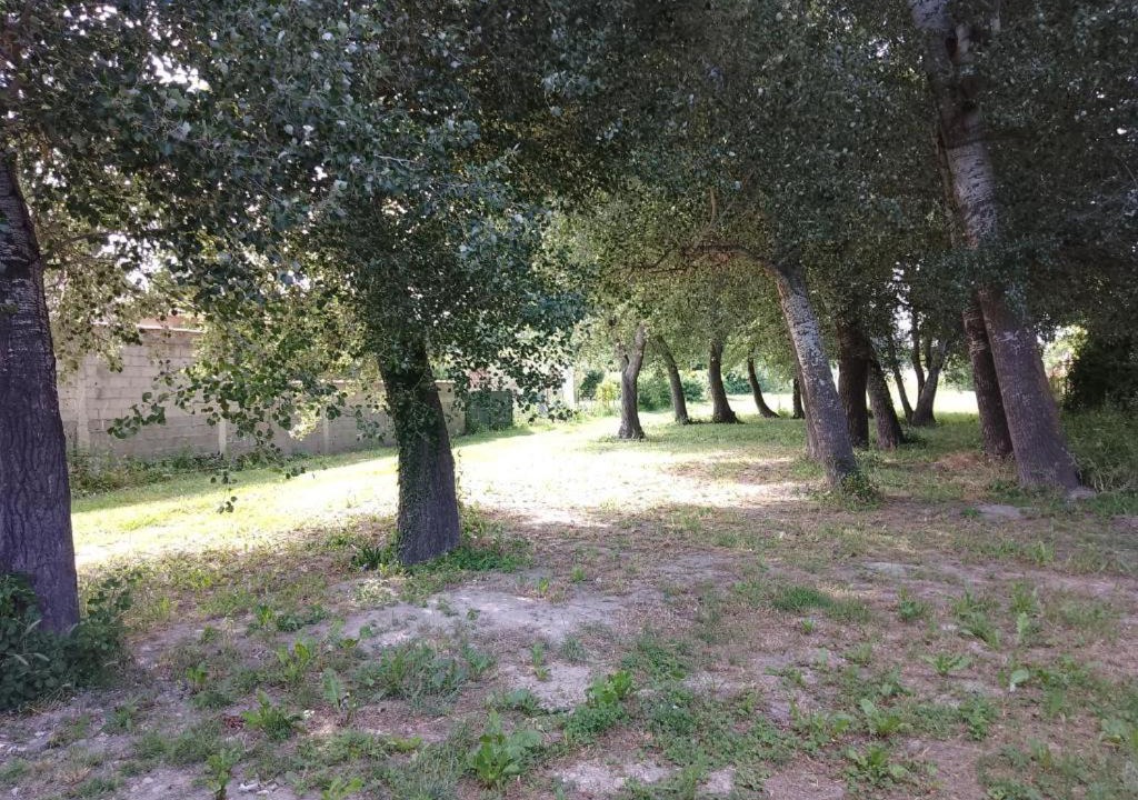 Photo of Others in Entraigues-sur-la-Sorgue