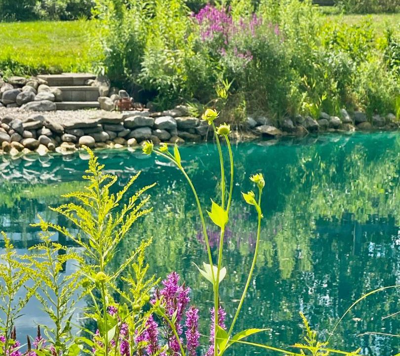 Photo of Outdoor in Holcomb