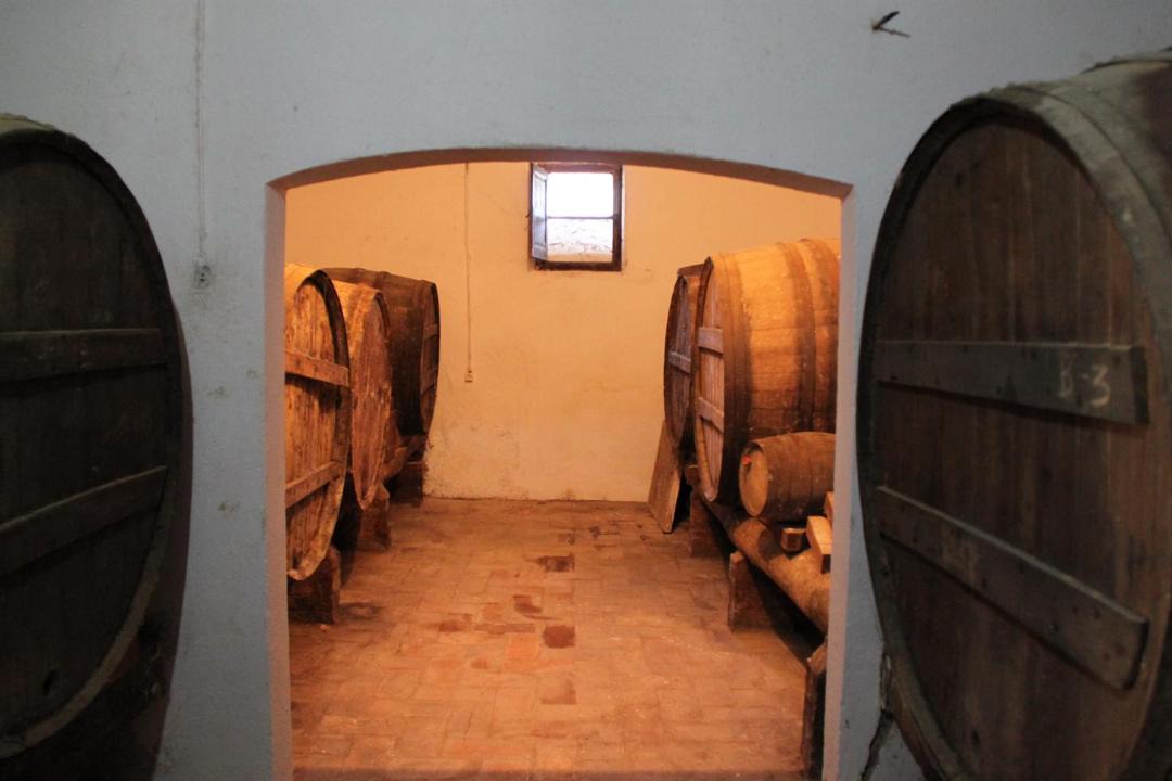 Photo of Others in Sant Quinti de Mediona