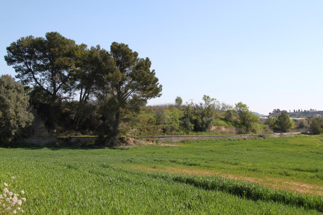 Photo of Others in Sant Quinti de Mediona