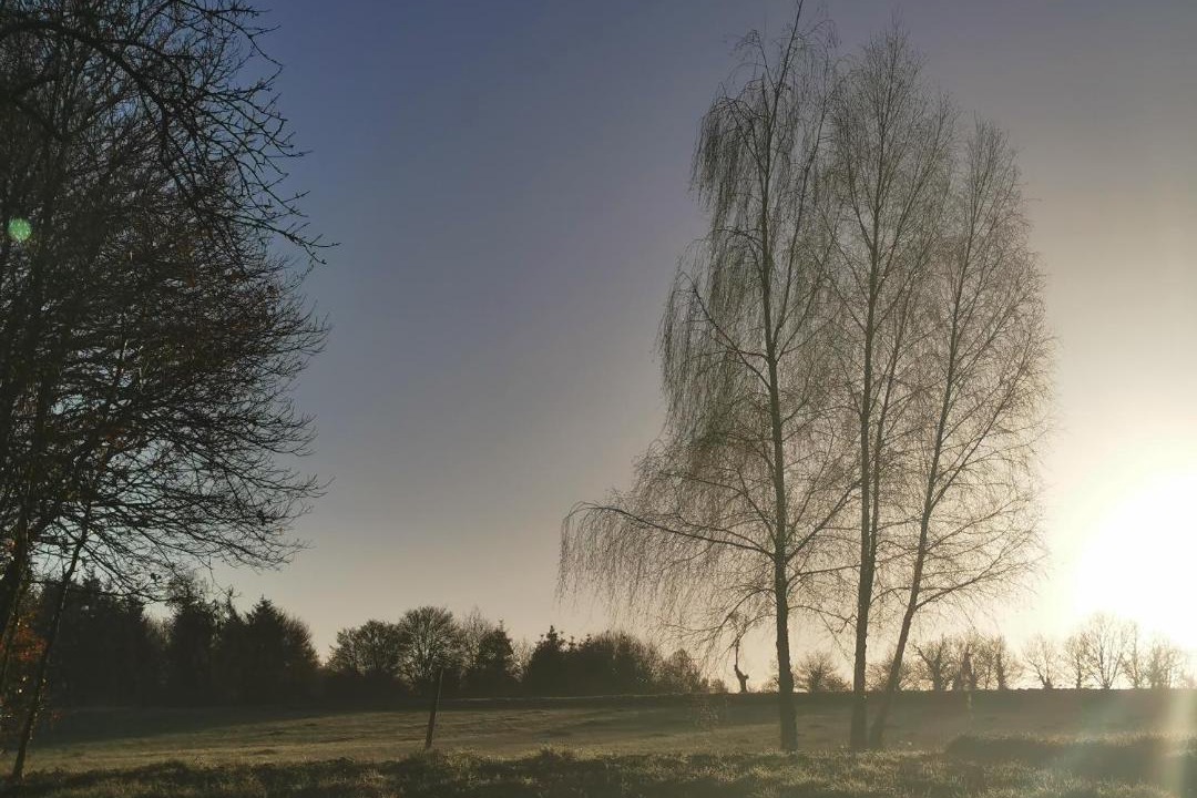 Photo of Others in Saint-Gonlay