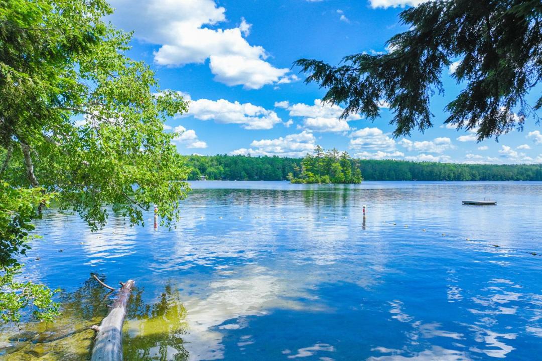 Photo of Others in Readfield