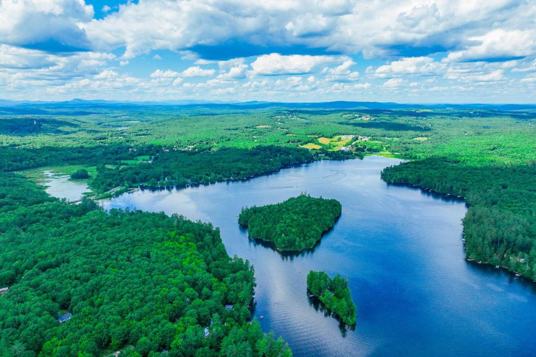 Photo of Others in Readfield