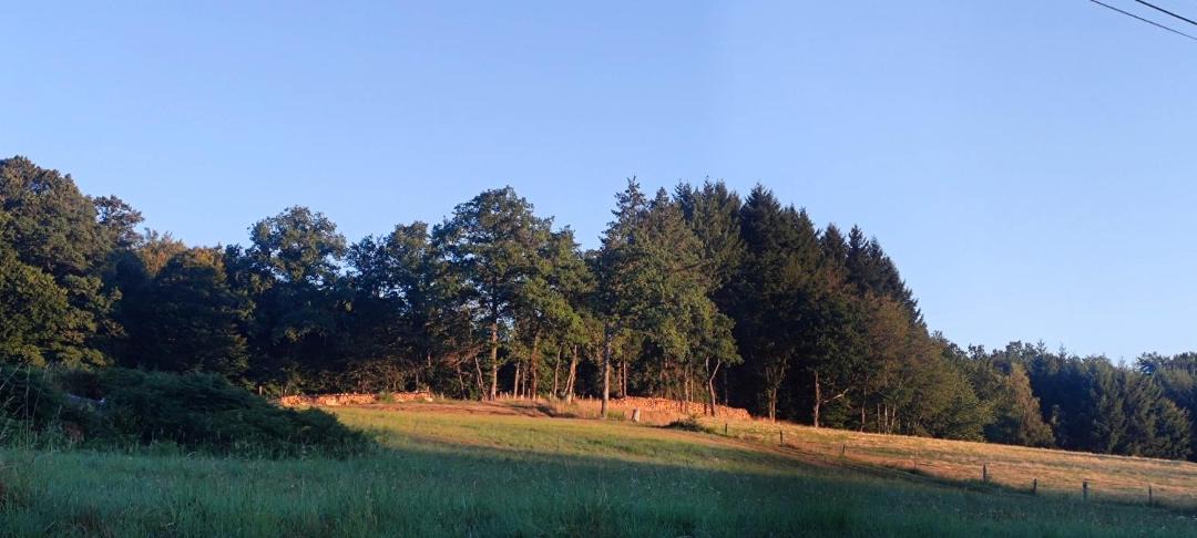 Photo of Others in Royere-de-Vassiviere