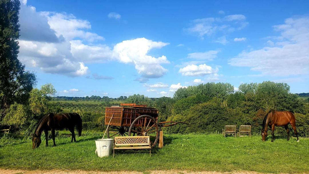 Photo of Others in Cambremer