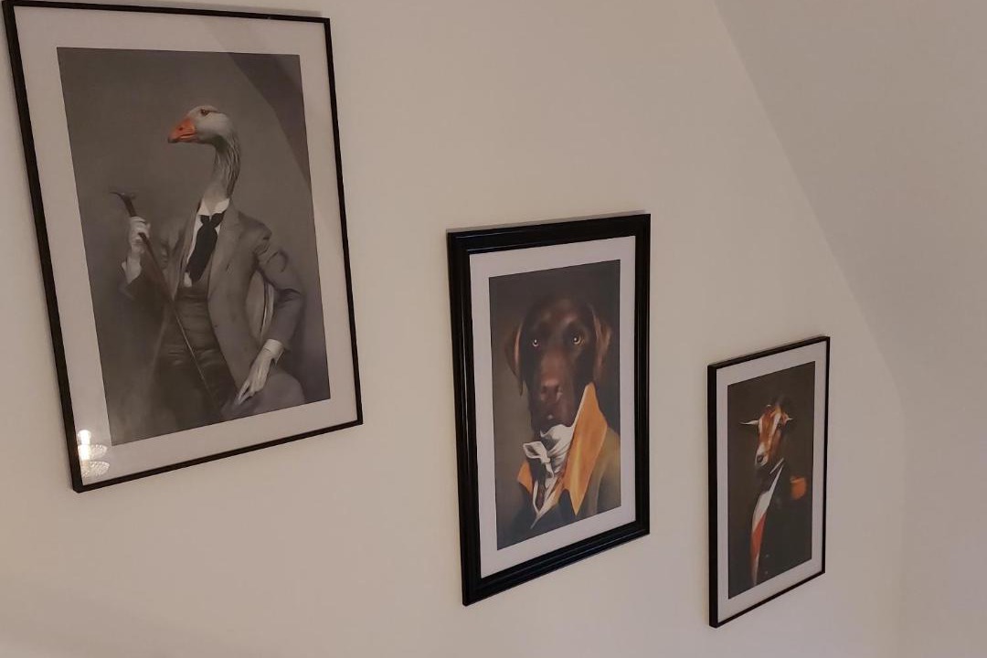 Photo of Others in Loudeac