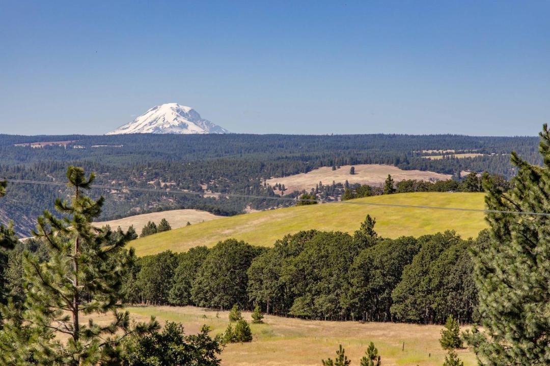 Photo of Outdoor in Lyle