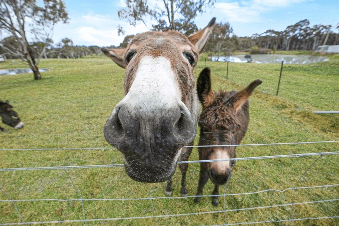 Photo of Others in Sutton Forest