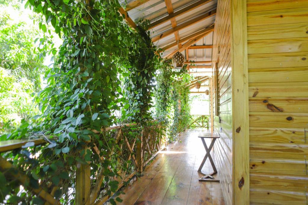 Photo of Others in Puerto Plata