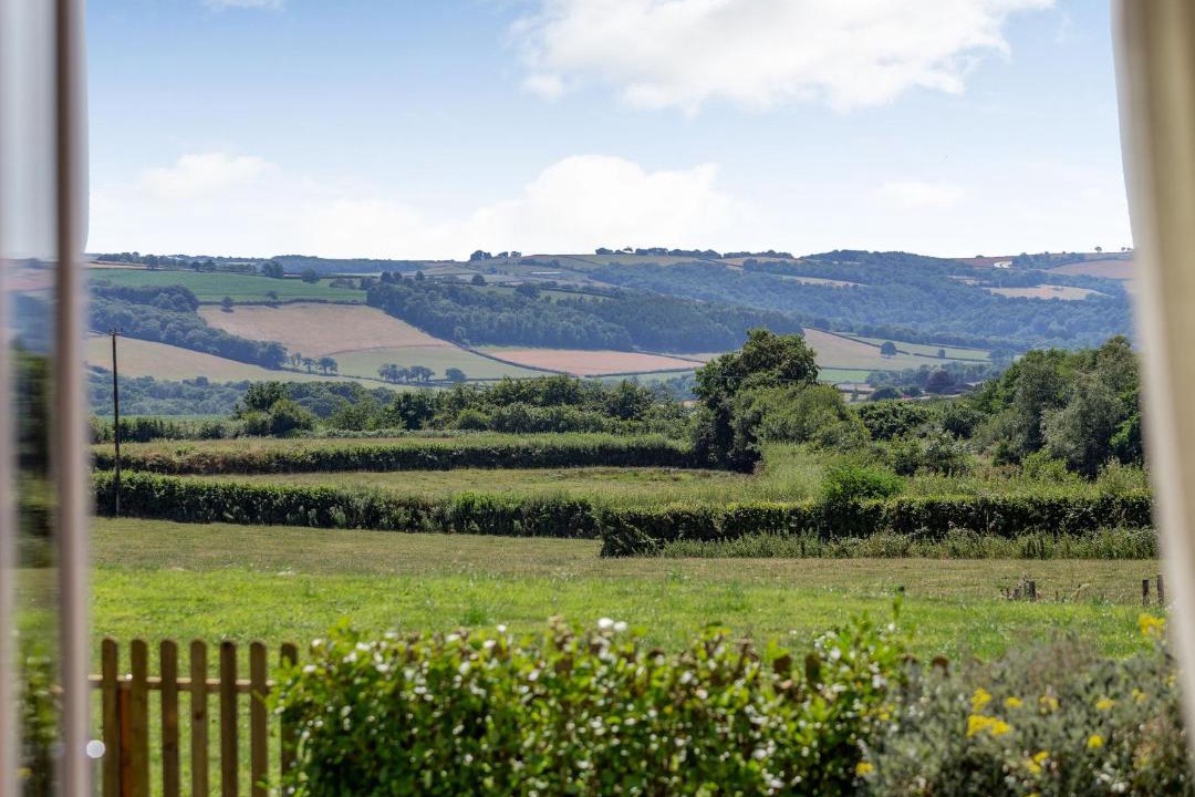 Photo of Others in Bishops Nympton