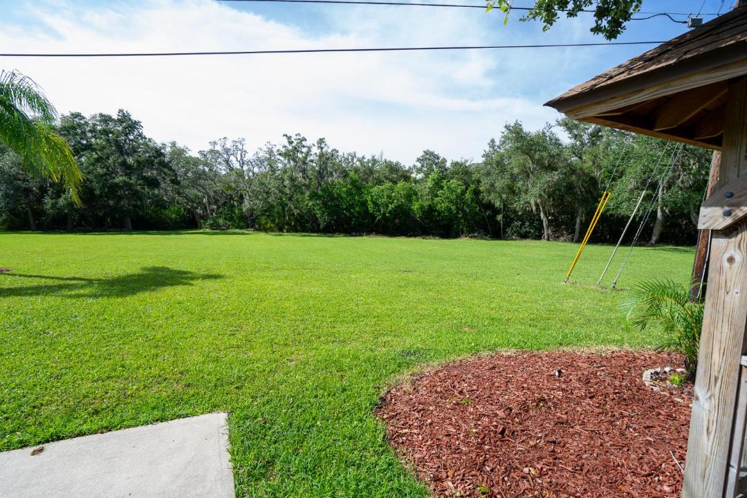 Photo of Others in Safety Harbor