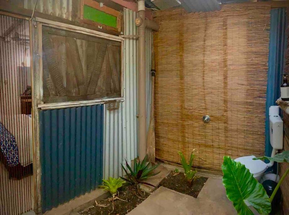 Photo of Others in Cannonvale