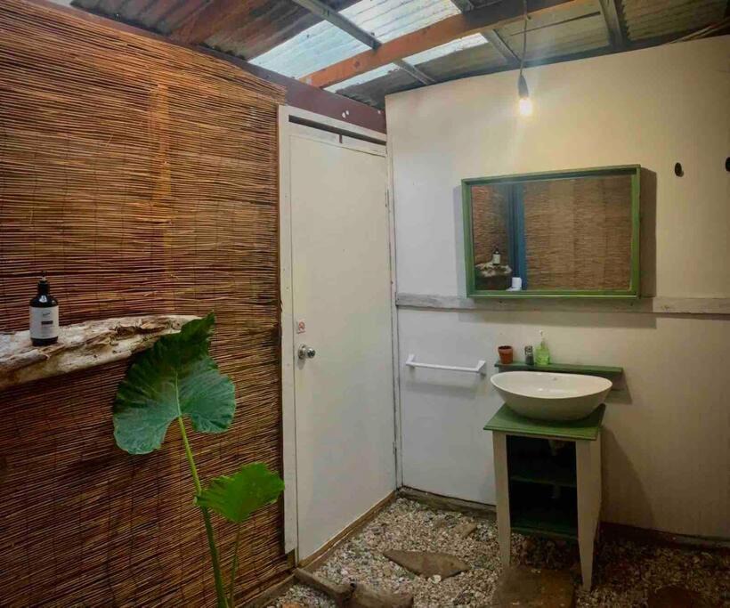 Photo of Others in Cannonvale