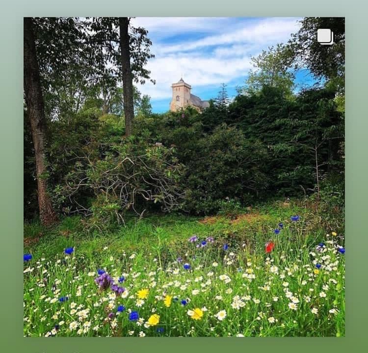 Photo of Others in Hawick